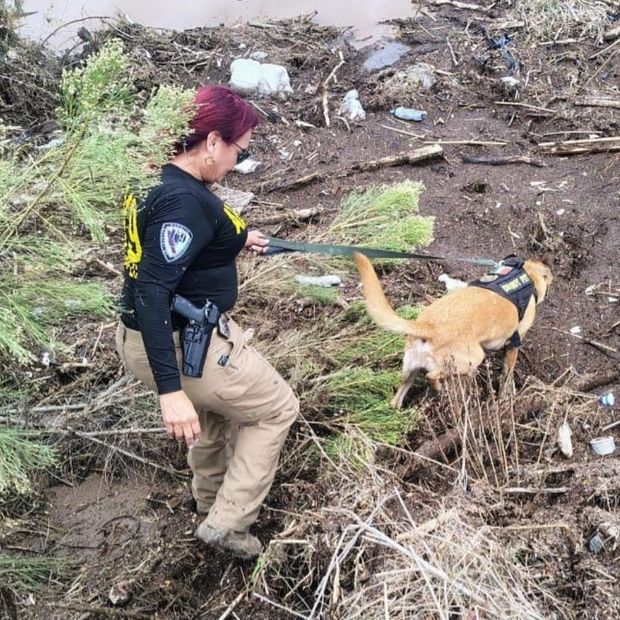 Localizan Sin Vida a Cuatro Personas de una Familia Tras Tormenta Rachel en Ensenada